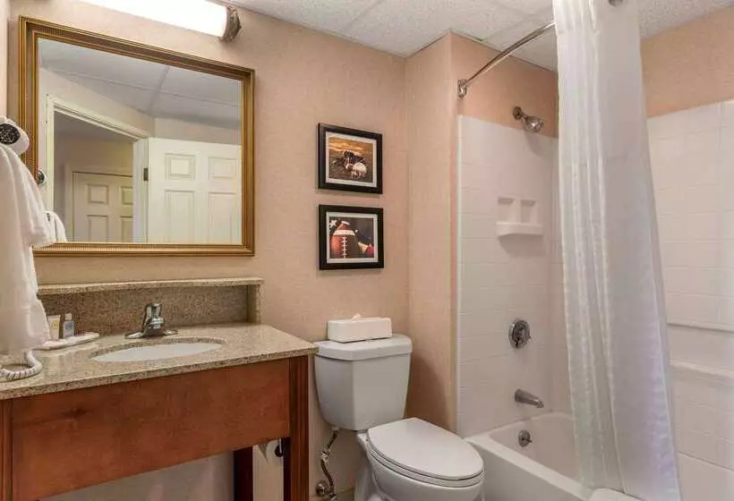 فندق Comfort Inn Foxboro – Mansfield