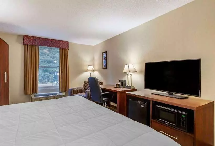 فندق Comfort Inn Foxboro – Mansfield
