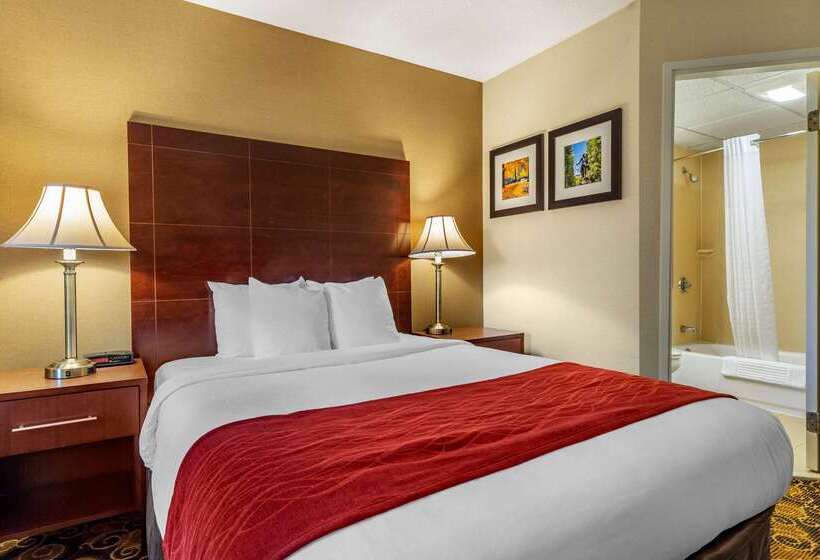 호텔 Comfort Inn Rockland Boston