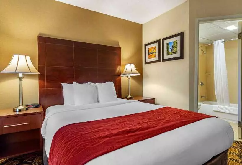 فندق Comfort Inn Rockland  Boston