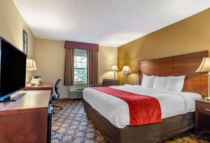 فندق Comfort Inn Rockland  Boston