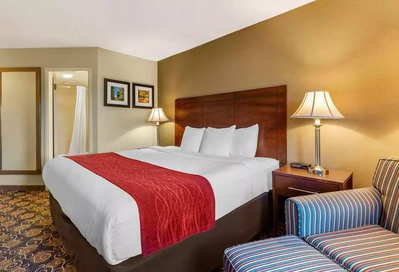 فندق Comfort Inn Rockland  Boston