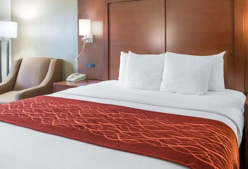 호텔 Comfort Inn & Suites San Francisco Airport North