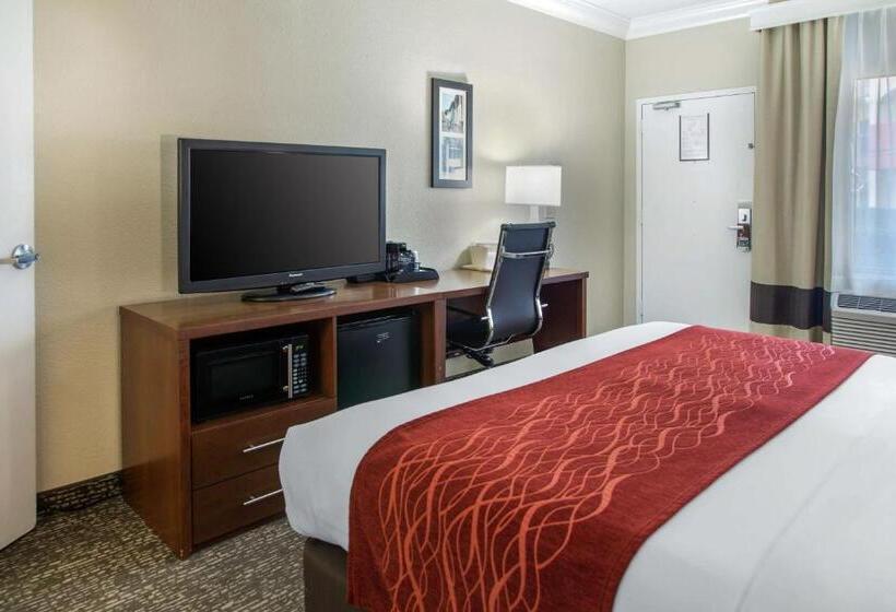 فندق Comfort Inn & Suites San Francisco Airport North
