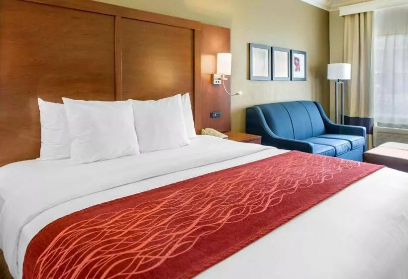 호텔 Comfort Inn & Suites San Francisco Airport North