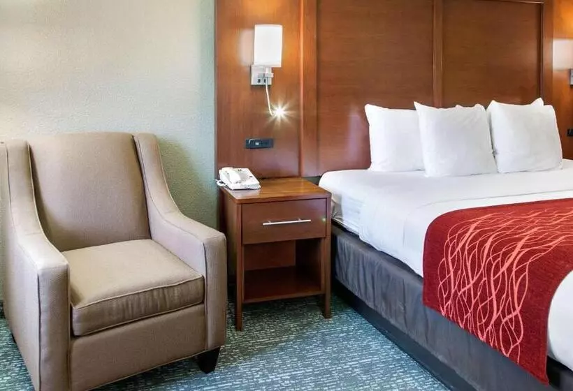 호텔 Comfort Inn & Suites San Francisco Airport North