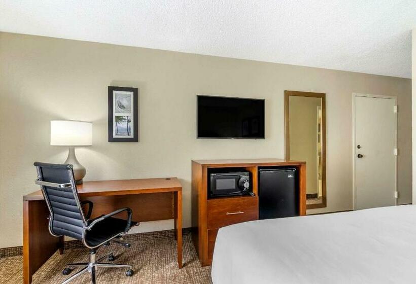ホテル Comfort Inn & Suites St. Pete  Clearwater International Airport