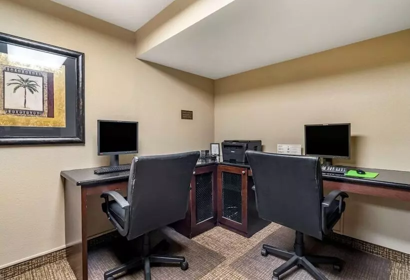 فندق Comfort Inn & Suites St. Pete  Clearwater International Airport