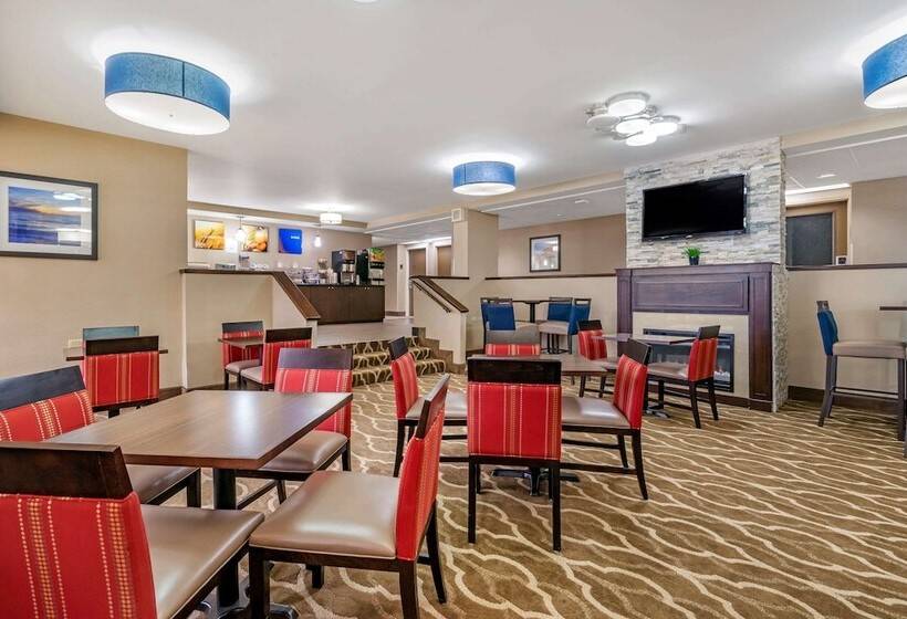 ホテル Comfort Inn & Suites St. Pete  Clearwater International Airport