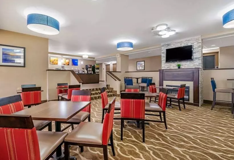 فندق Comfort Inn & Suites St. Pete  Clearwater International Airport