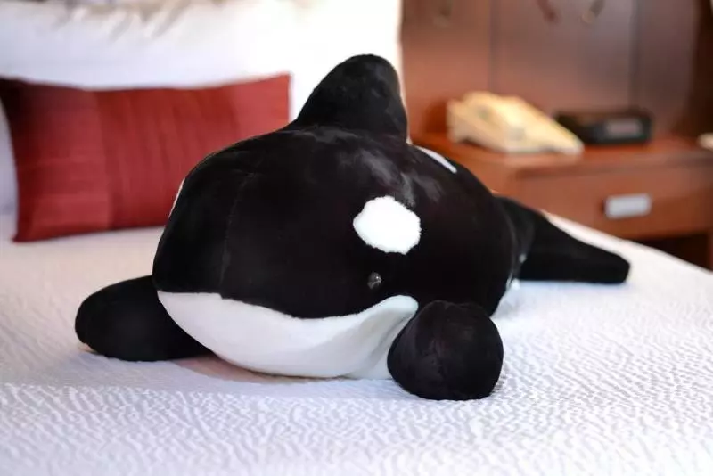 호텔 Courtyard By Marriott San Antonio Airport