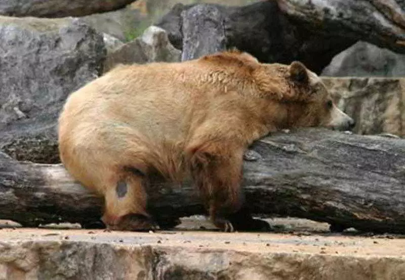 هتل Courtyard By Marriott San Antonio Medical Center