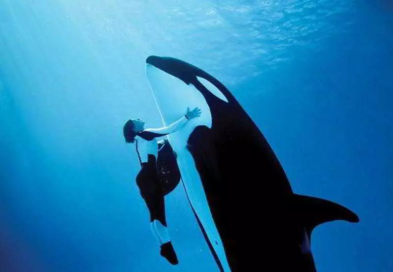 هتل Courtyard By Marriott San Antonio Medical Center