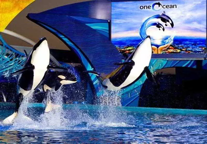 هتل Courtyard By Marriott San Antonio Medical Center