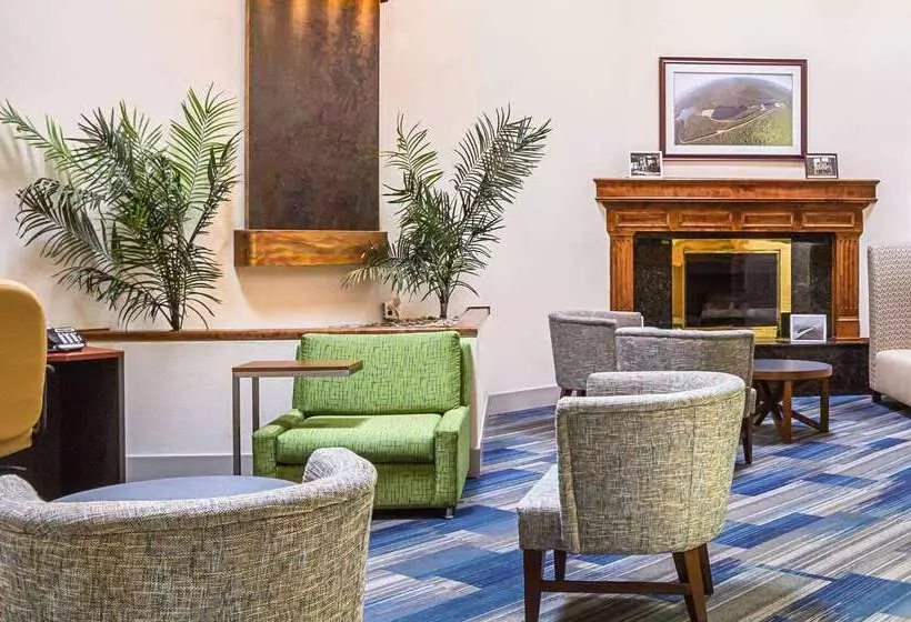 Otel Quality Inn & Suites