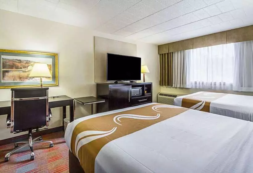 Otel Quality Inn & Suites