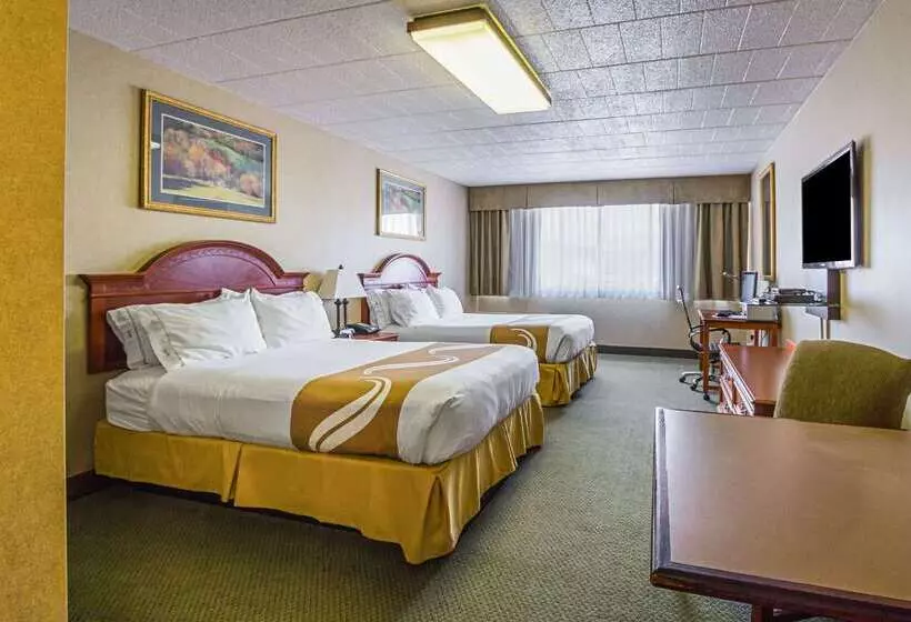 Otel Quality Inn & Suites