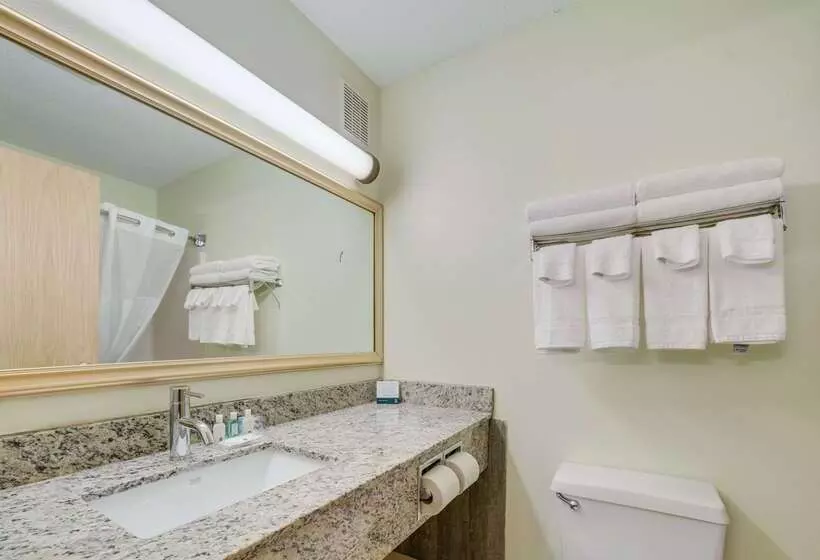 Otel Quality Inn & Suites South