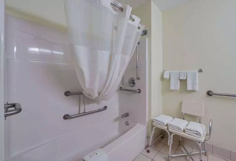 Otel Quality Inn & Suites South