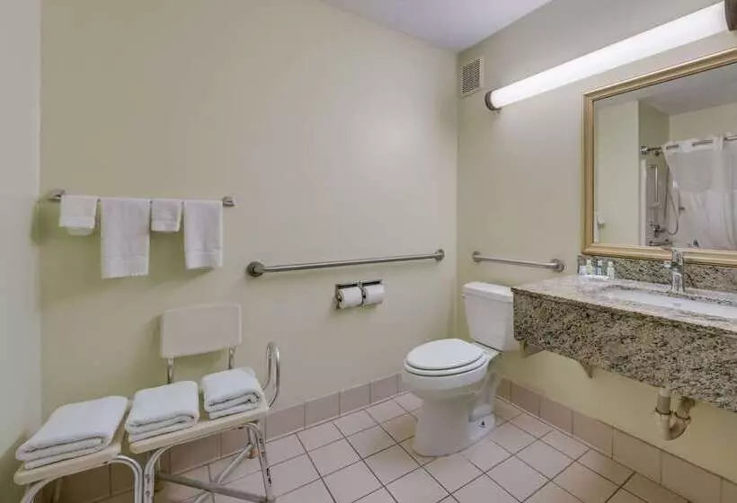 Otel Quality Inn & Suites South