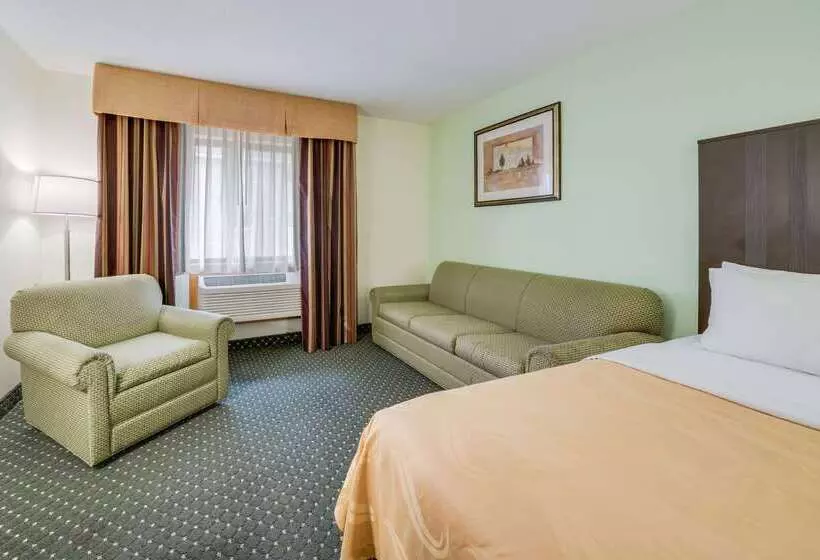 Otel Quality Inn & Suites South