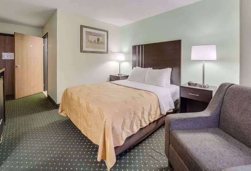 Otel Quality Inn & Suites South