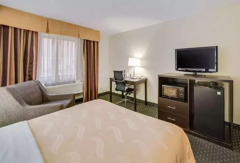 Otel Quality Inn & Suites South