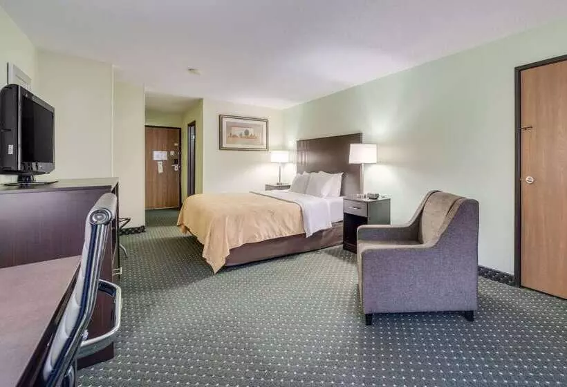 Otel Quality Inn & Suites South