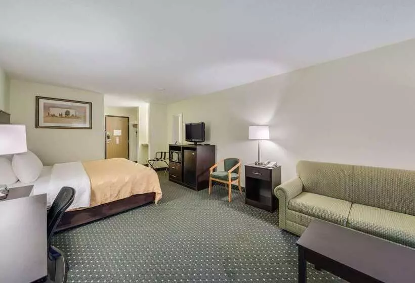 Otel Quality Inn & Suites South