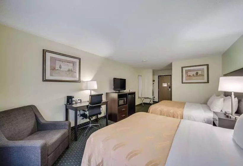 Otel Quality Inn & Suites South