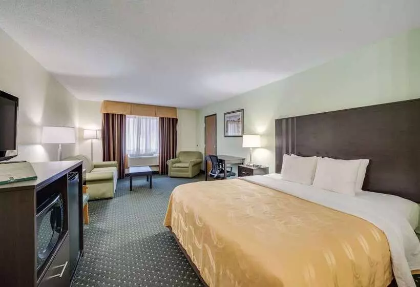 Otel Quality Inn & Suites South