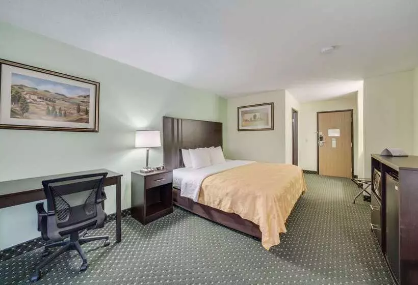 Otel Quality Inn & Suites South