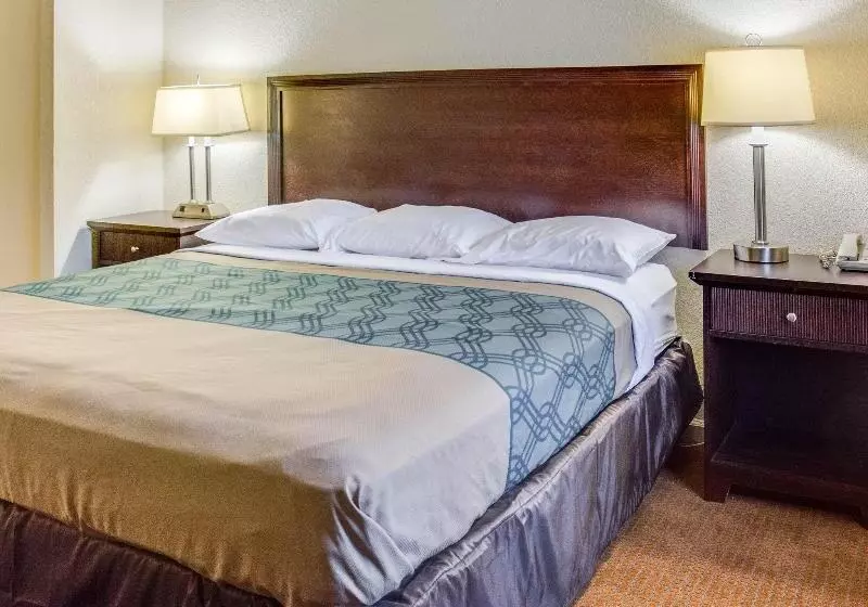 Szálloda Quality Inn & Suites