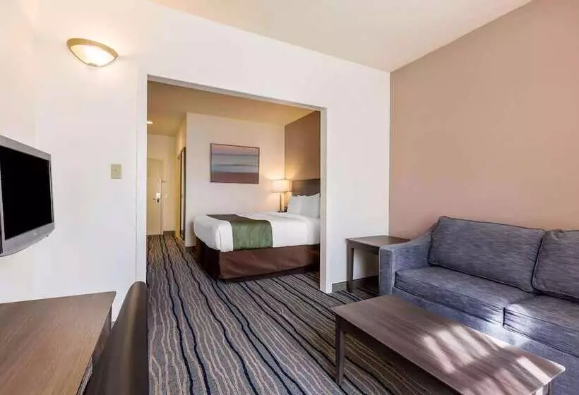 Otel Ramada Suites By Wyndham San Diego