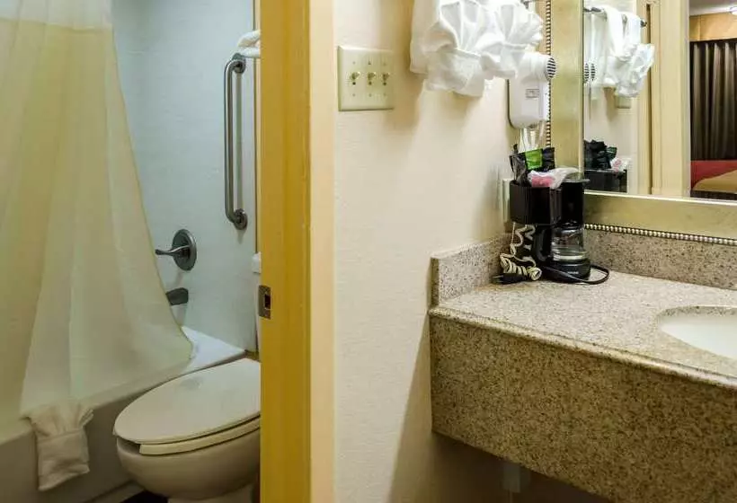 Отель Rodeway Inn