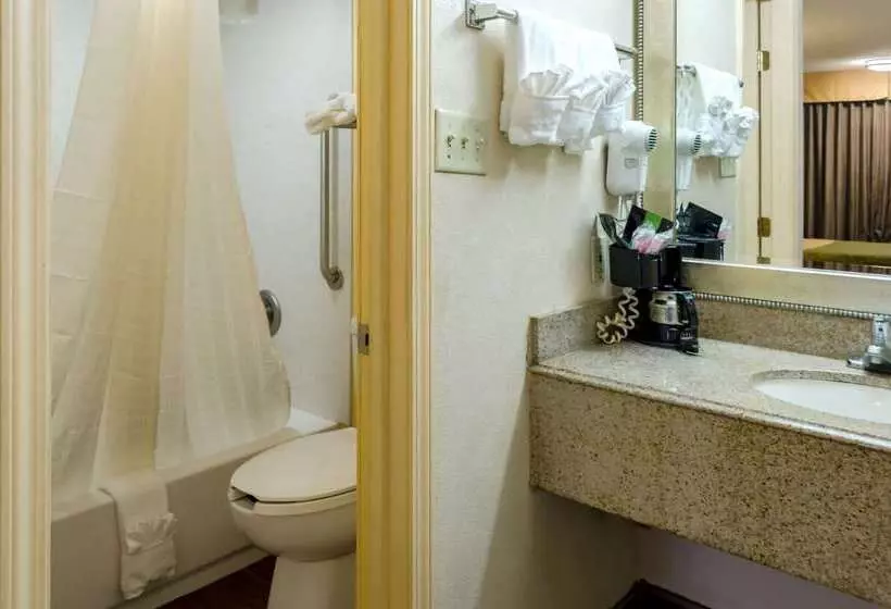 Отель Rodeway Inn