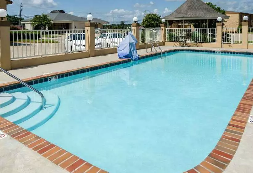 Отель Rodeway Inn