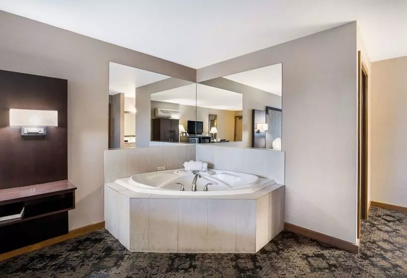 Hotel Best Western Windsor Inn