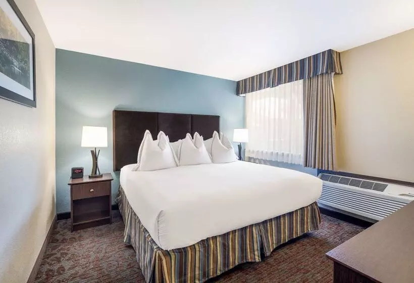 Hotel Best Western Windsor Inn