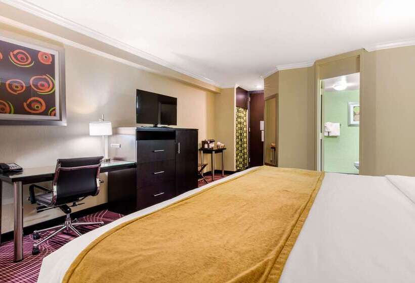 فندق Holiday Inn Nashville Downtown   Stadium, An Ihg
