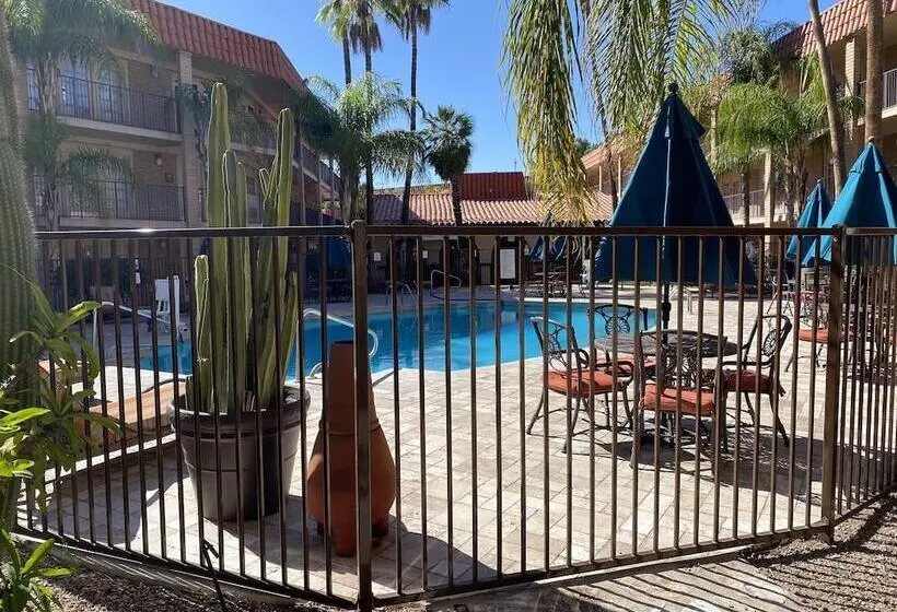 ホテル Doubletree Suites By Hilton Tucson Williams Center