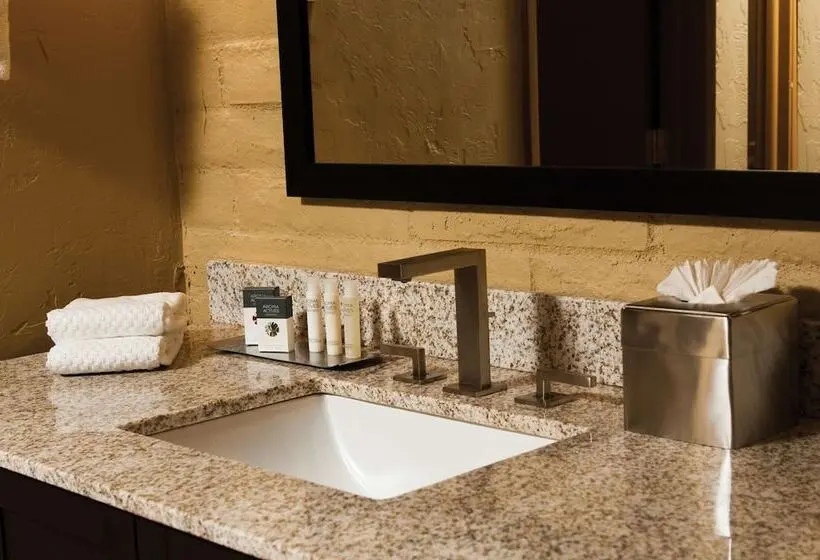 ホテル Doubletree Suites By Hilton Tucson Williams Center