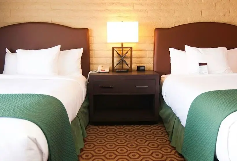 ホテル Doubletree Suites By Hilton Tucson Williams Center