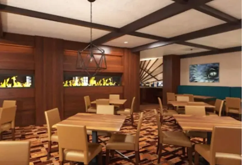ホテル Doubletree Suites By Hilton Tucson Williams Center