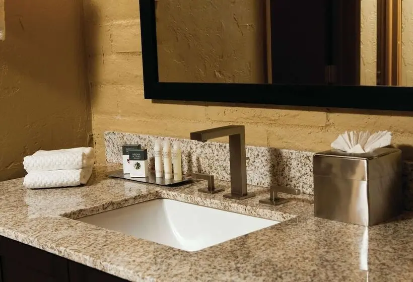ホテル Doubletree Suites By Hilton Tucson Williams Center