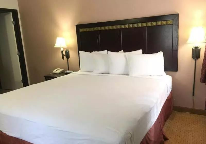 ホテル Downtown San Diego Lodge