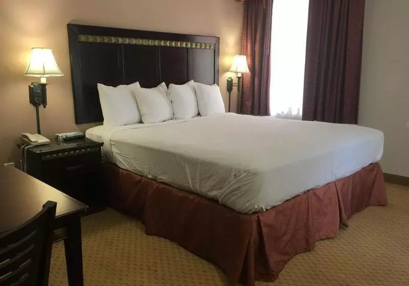 ホテル Downtown San Diego Lodge