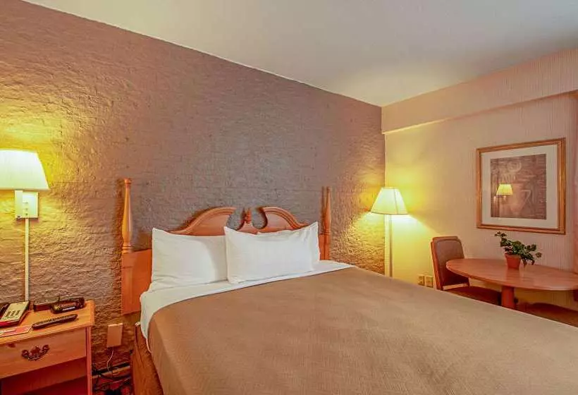 בית מלון כפרי Econo Lodge Metro