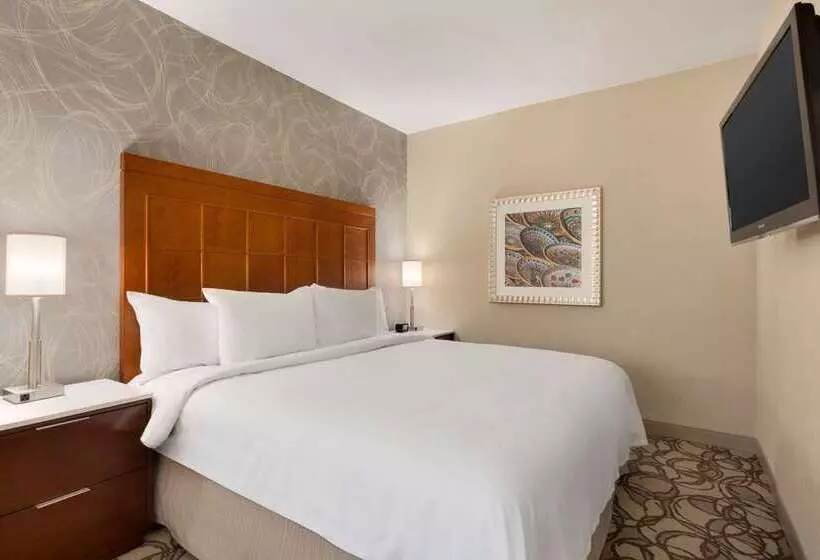 فندق Embassy Suites By Hilton San Antonio Airport