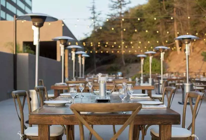 فندق Hilton San Diego Mission Valley